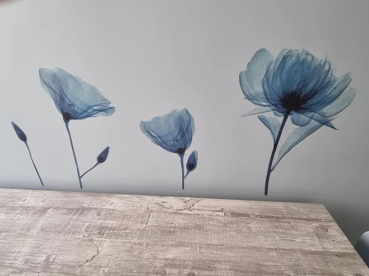 Blue House Apartment - San Massimo ורונה 0*,  איטליה